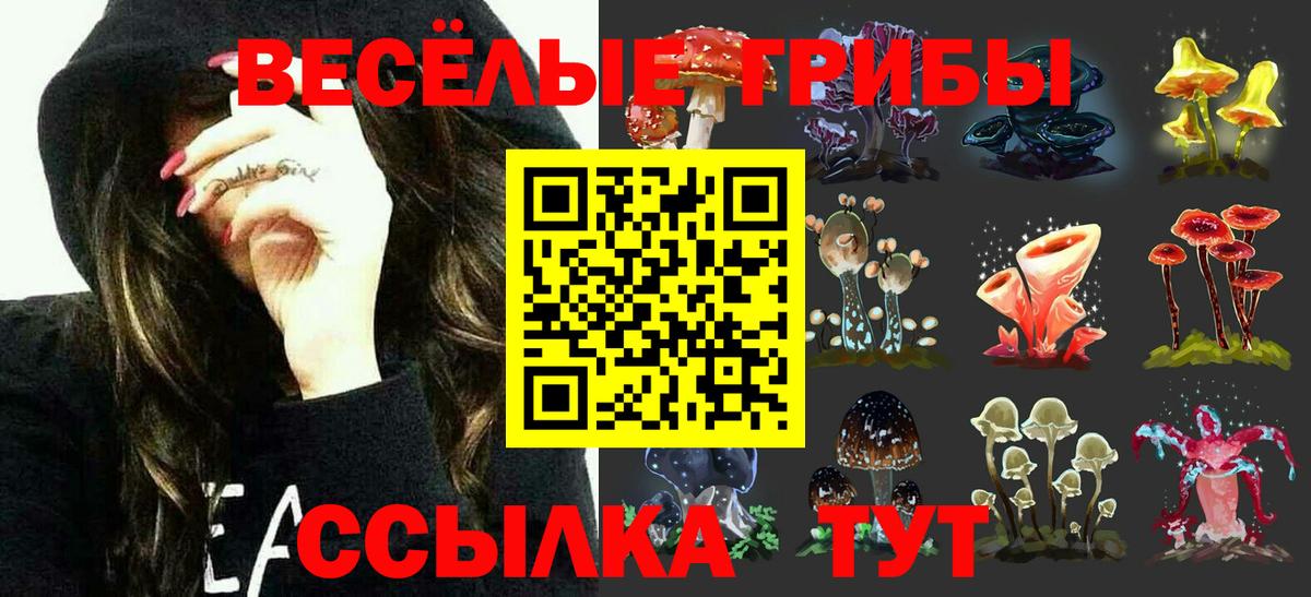 Галлюциногенные грибы мухоморы  Вход с VPN  Тулун 