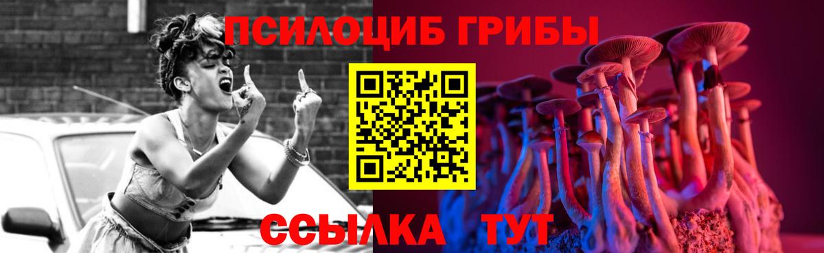 Псилоцибиновые грибы Cubensis Тулун
